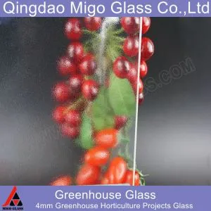 Матово призматично оранжерийно стъкло